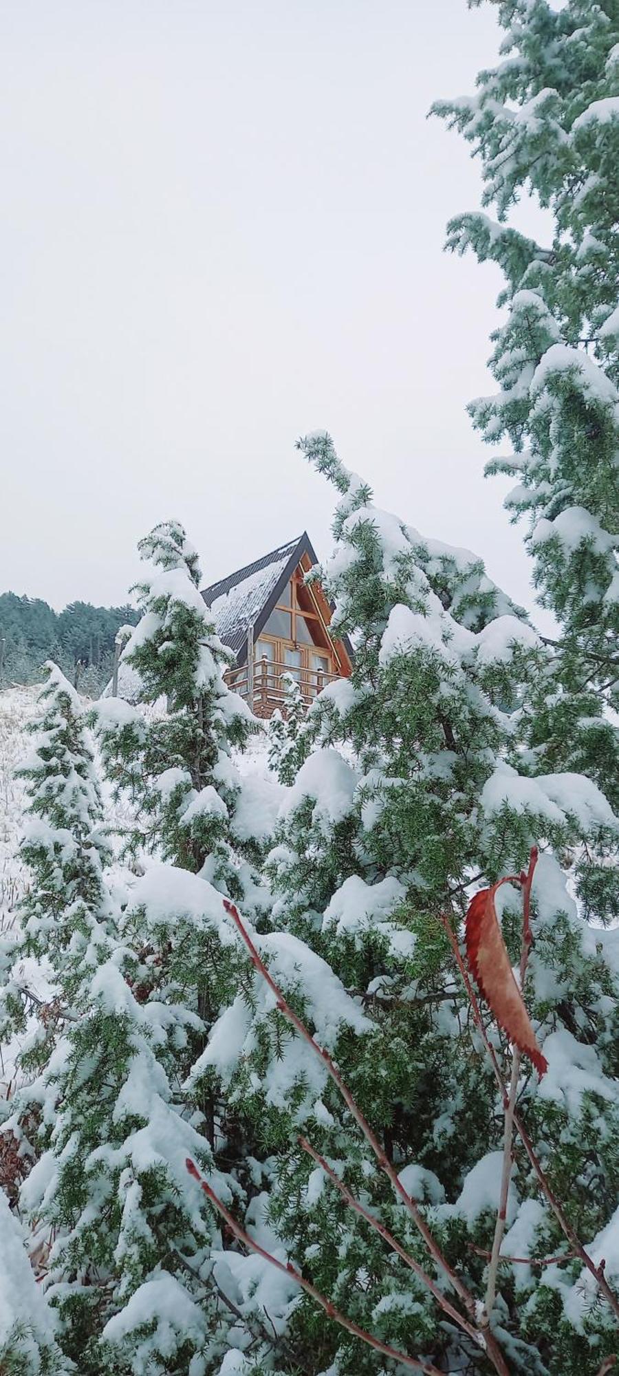 자블야크 Monte Zen 빌라 외부 사진