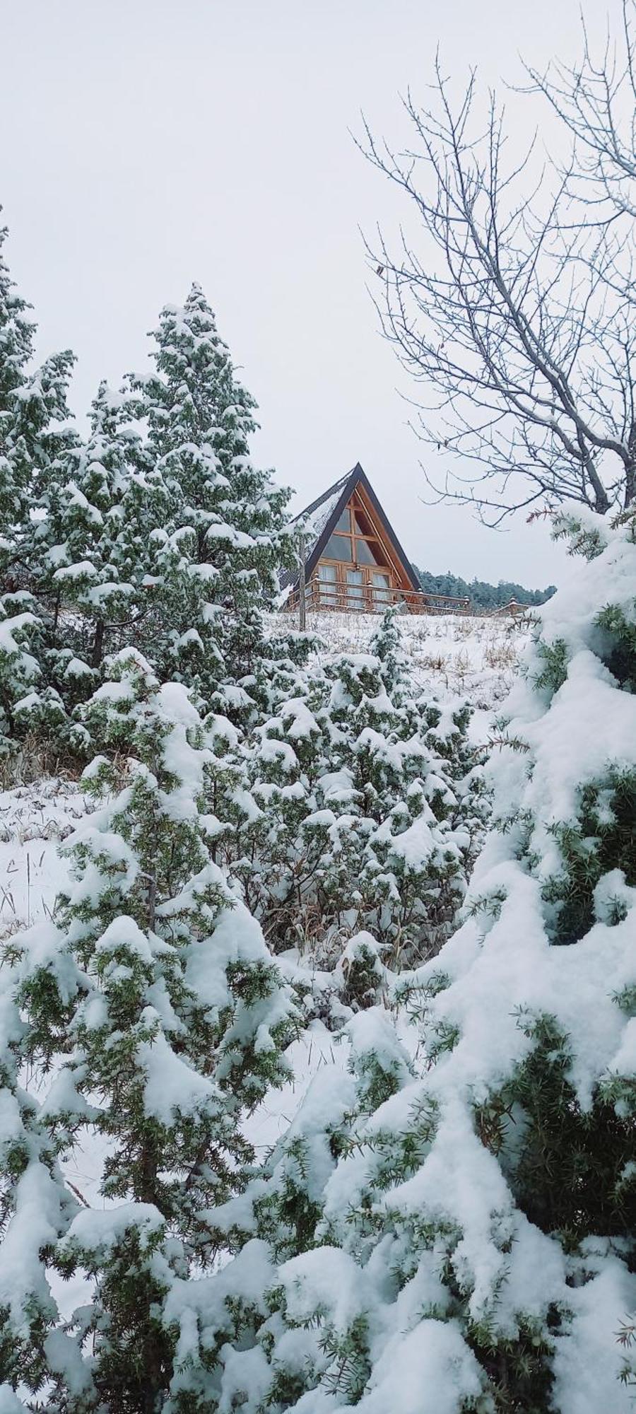 자블야크 Monte Zen 빌라 외부 사진